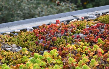 the cost of Magheralin green roof installation