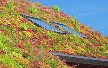 Magheralin living roof systems