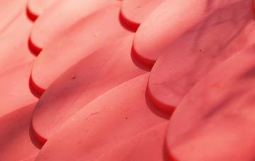 Magheralin plastic roof costs